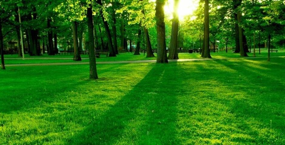 Green and clean environment