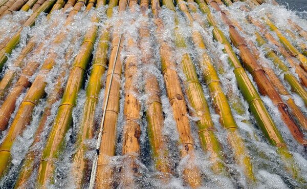 Leaching Bamboo