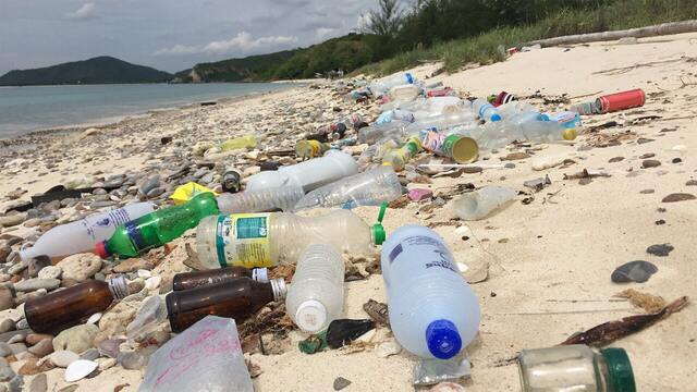 Rise in ocean plastic pollution 'unprecedented'